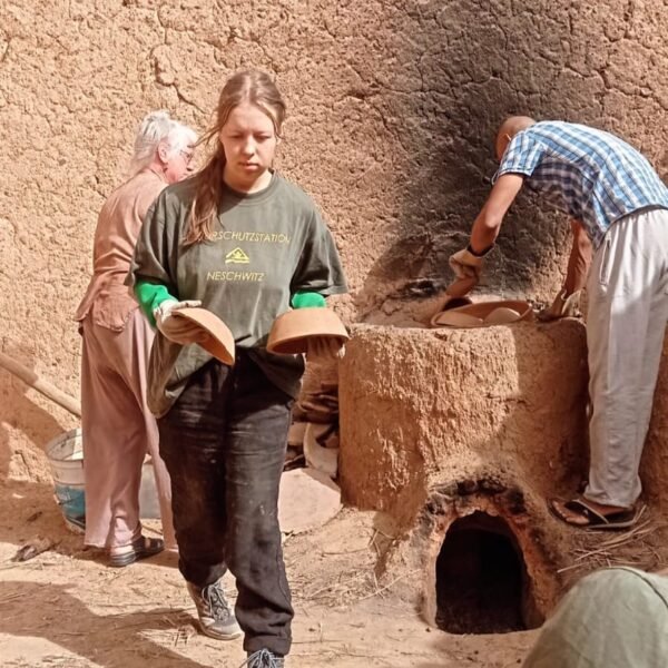 WhatsApp Image 2026 01 10 at 21 07 09yi 1 600x600